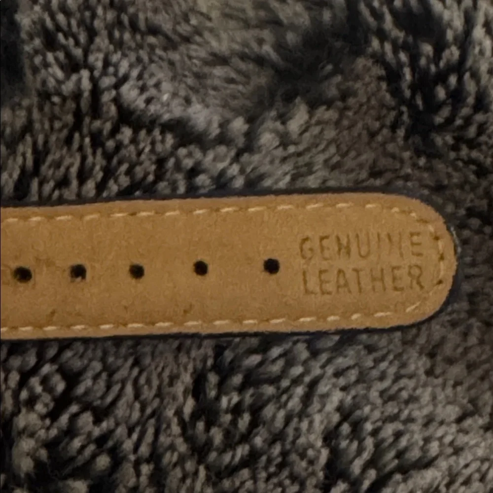 The Beatles Apple Corps Ltd. watch in its original wooden guitar-shaped case.
